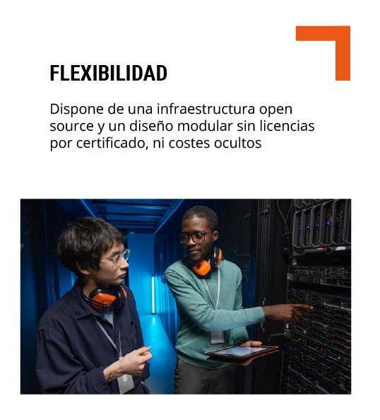 flexibilidad