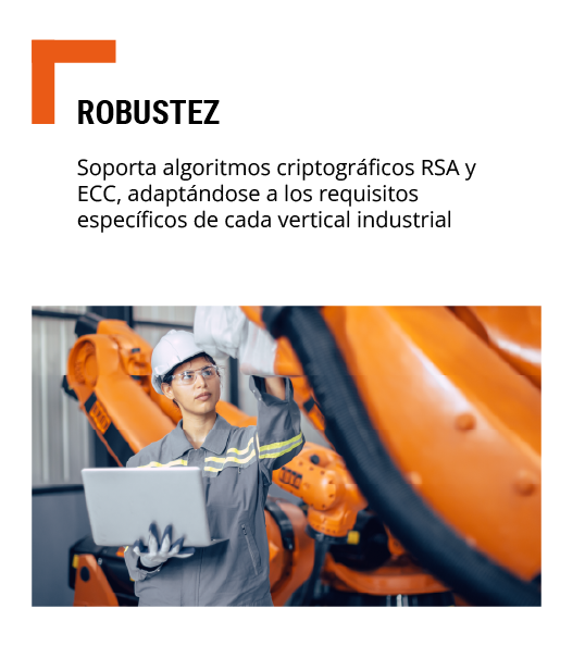 robustez